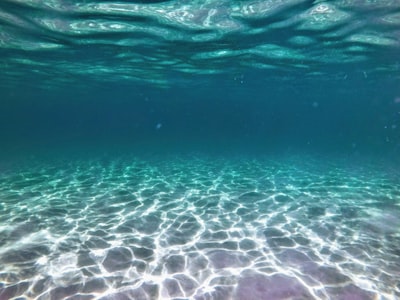 underwater underwater google meet background