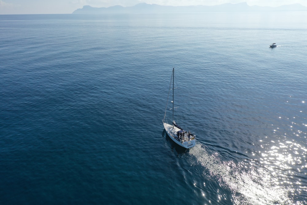 aerial photography of a white speedboat in the ocean