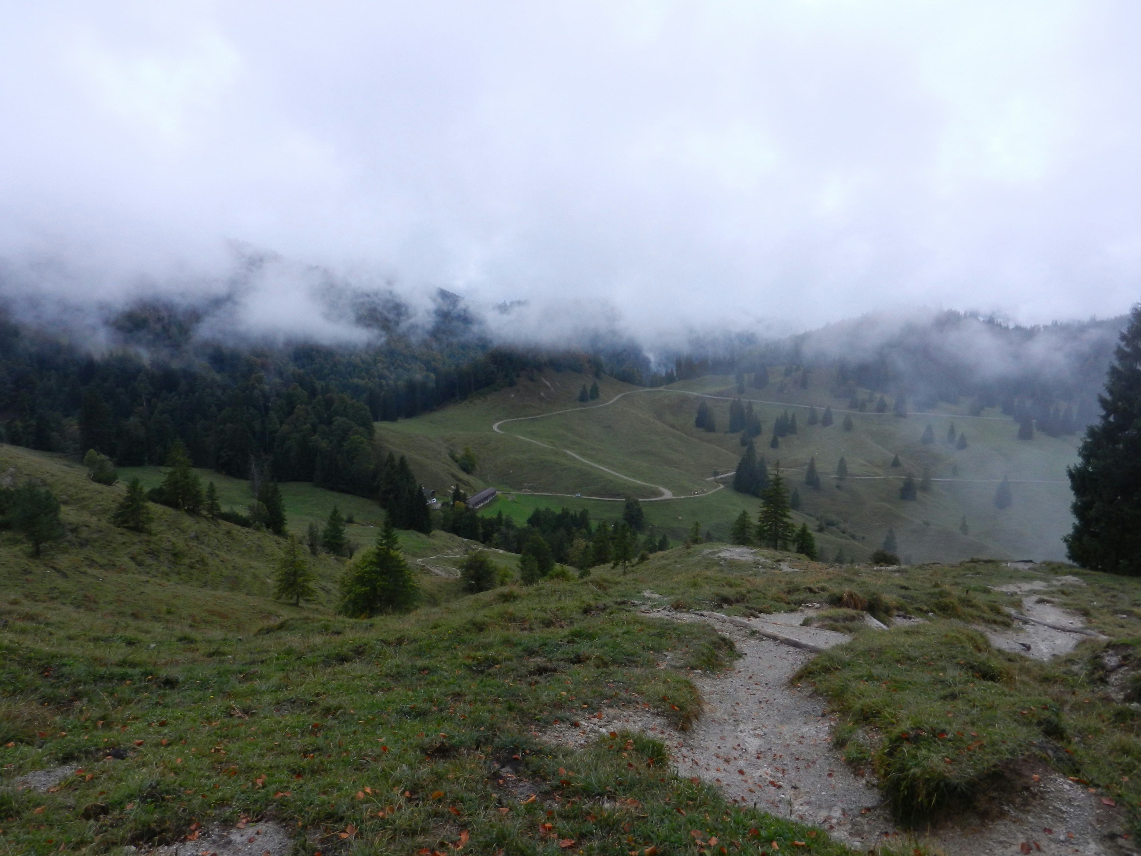 Photo by nicki_jones