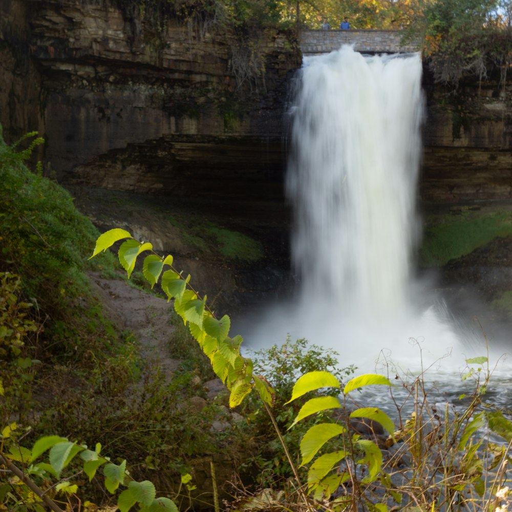 time lapse photography of flowing waterfall