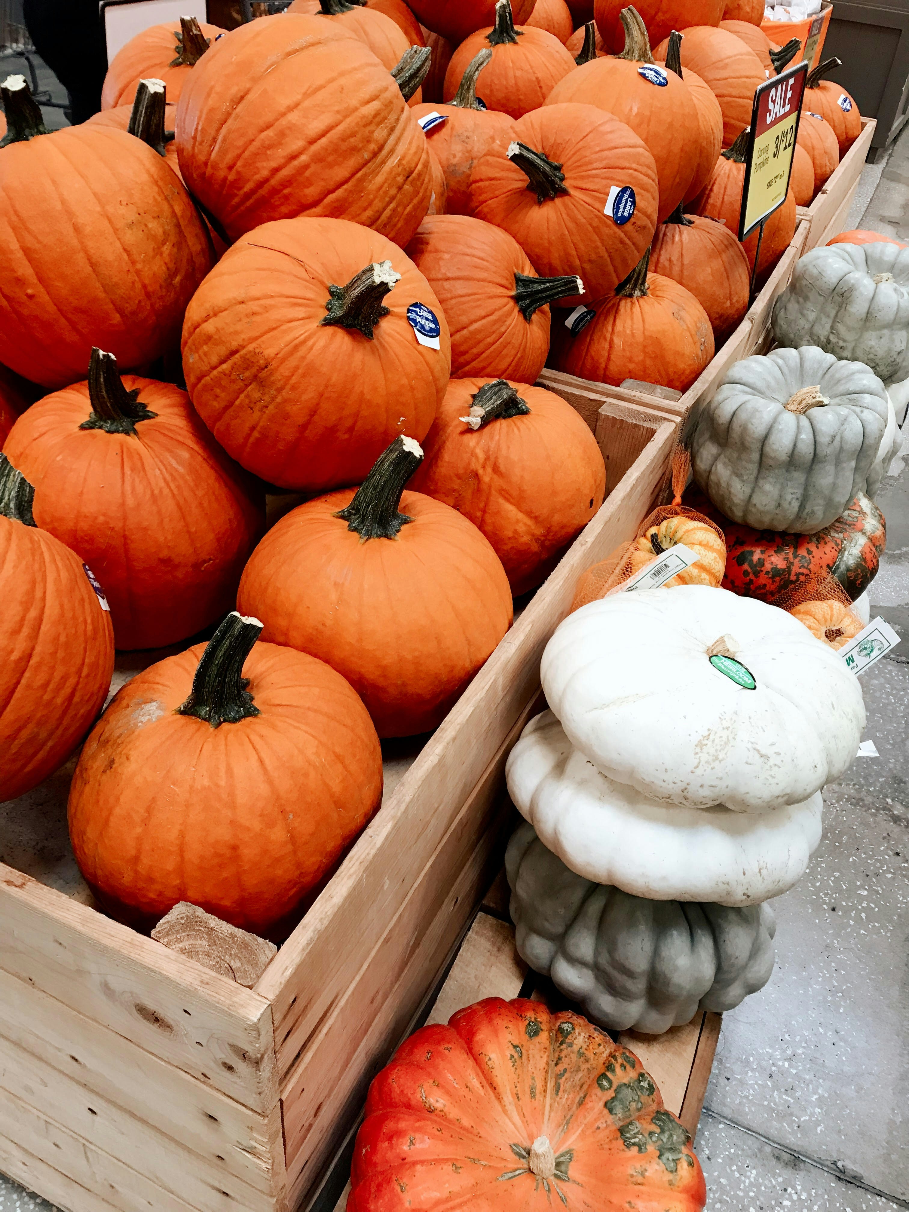 Photo by roseuhhleeuh