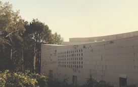 A modern architectural structure with a minimalist design stands next to tall, lush trees. The building features a facade with a series of small square windows and a smooth, curved wall. The trees and foliage are dense and appear to frame the building, which is bathed in soft, golden light from a setting or rising sun.