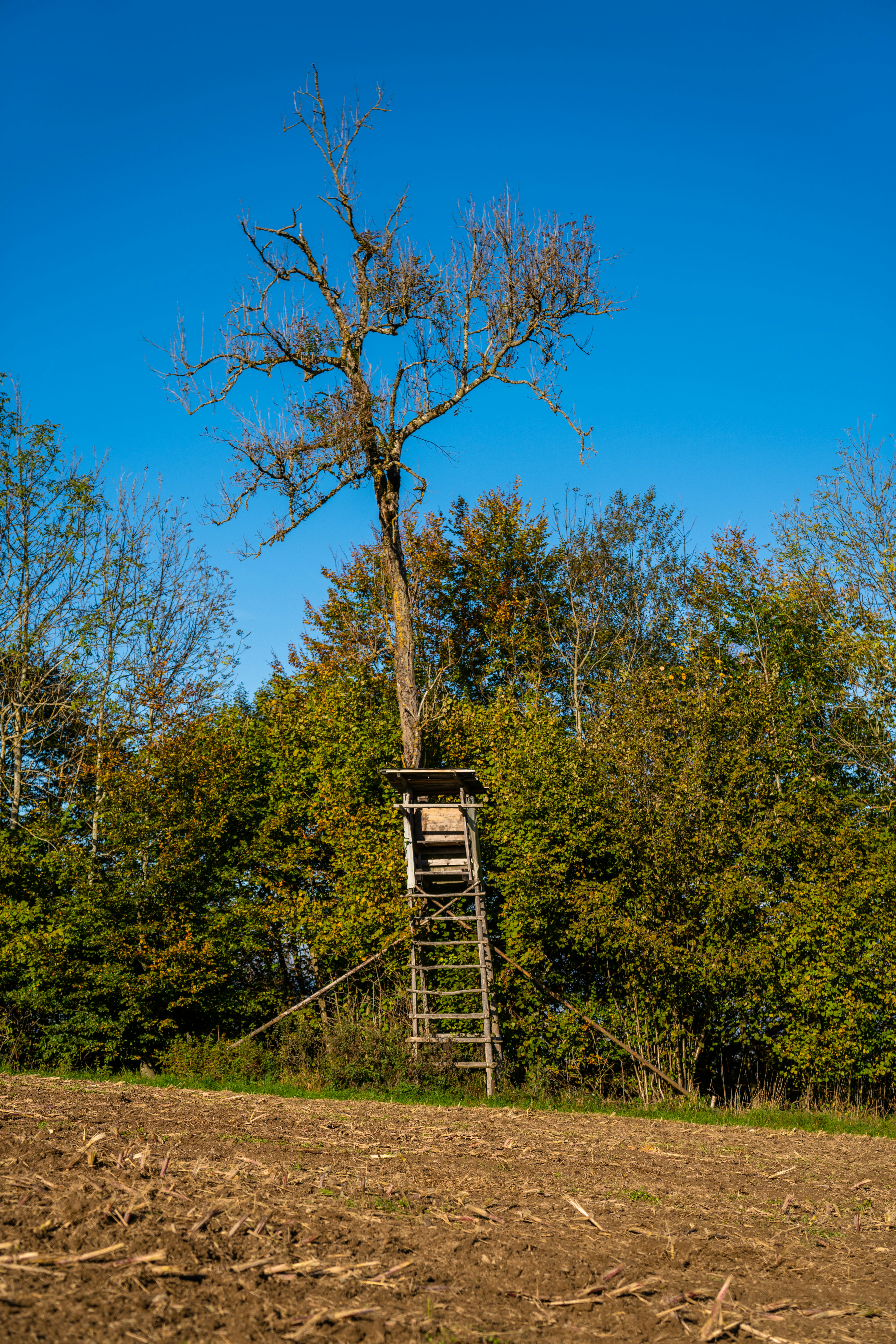 Photo by purzlbaum