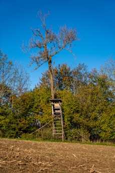 Best Tree Stand & Ground Blind for Archery Hunting