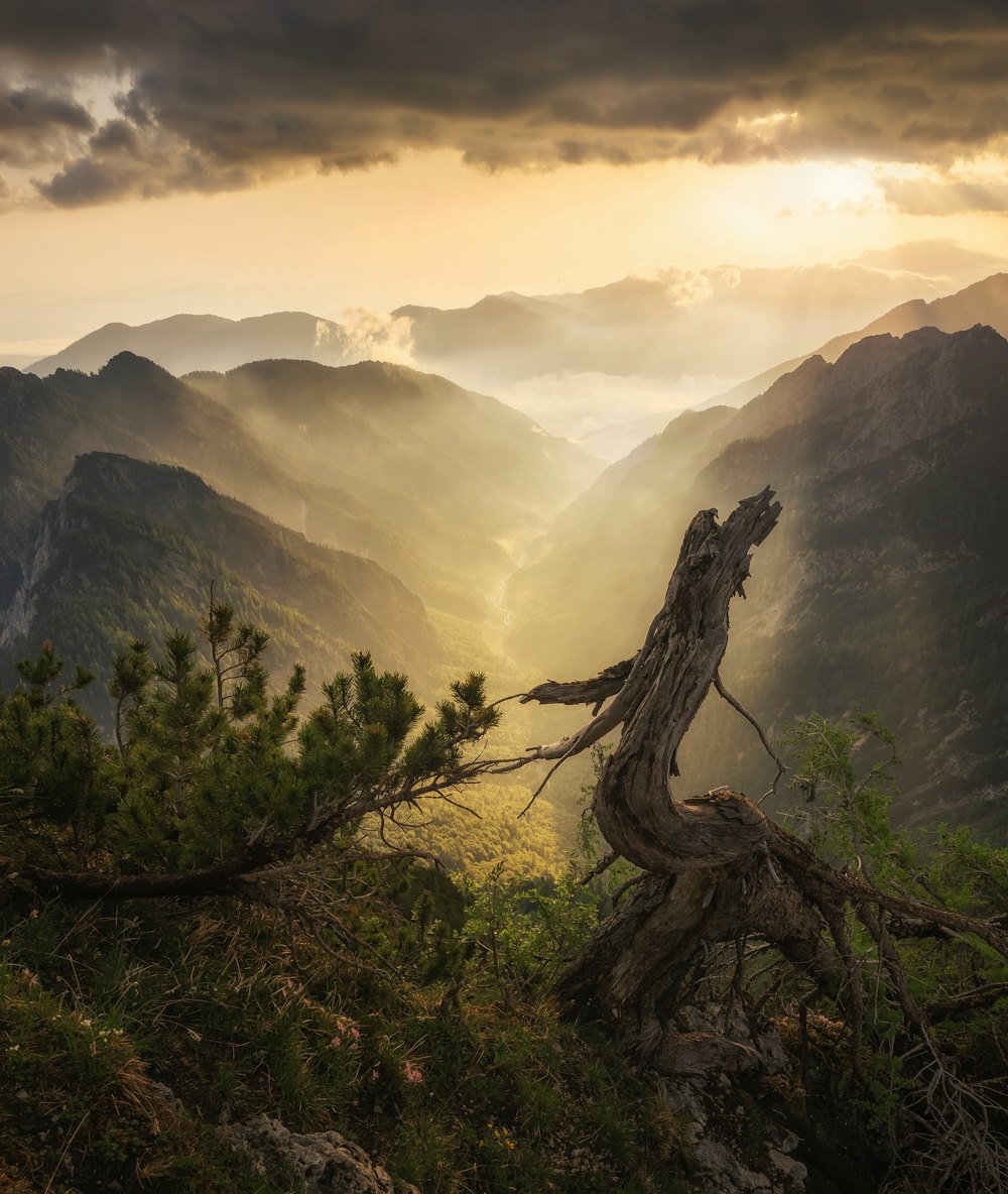 montagnes sous les nuages pendant la journée