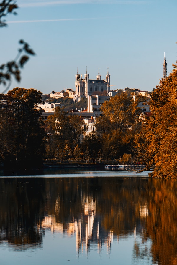 Exploring Lyon's Authentic Cuisine: Local Dishes, Restaurants, and Recipes