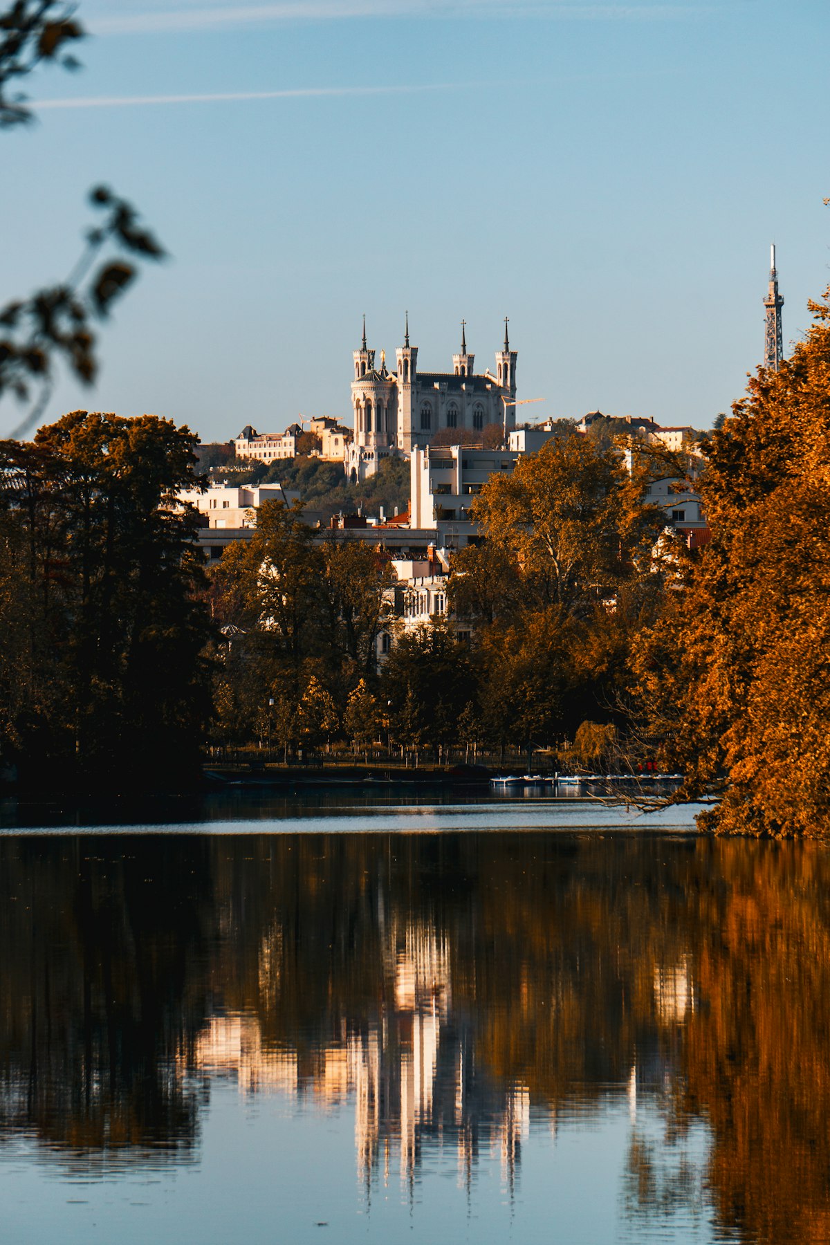 Brown autumn maple leaf in focus at Fourvière in Lyon, France
