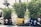 Three large plants are placed in creatively painted pots that resemble oversized teacups. The pots are designed with tires and painted in red, yellow, and blue, each adorned with white polka dots. The arrangement is set in an outdoor area with grass and a tree visible in the background.