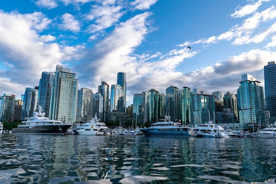 urban cityscape during daytime in Coal Harbour Community Centre Canada