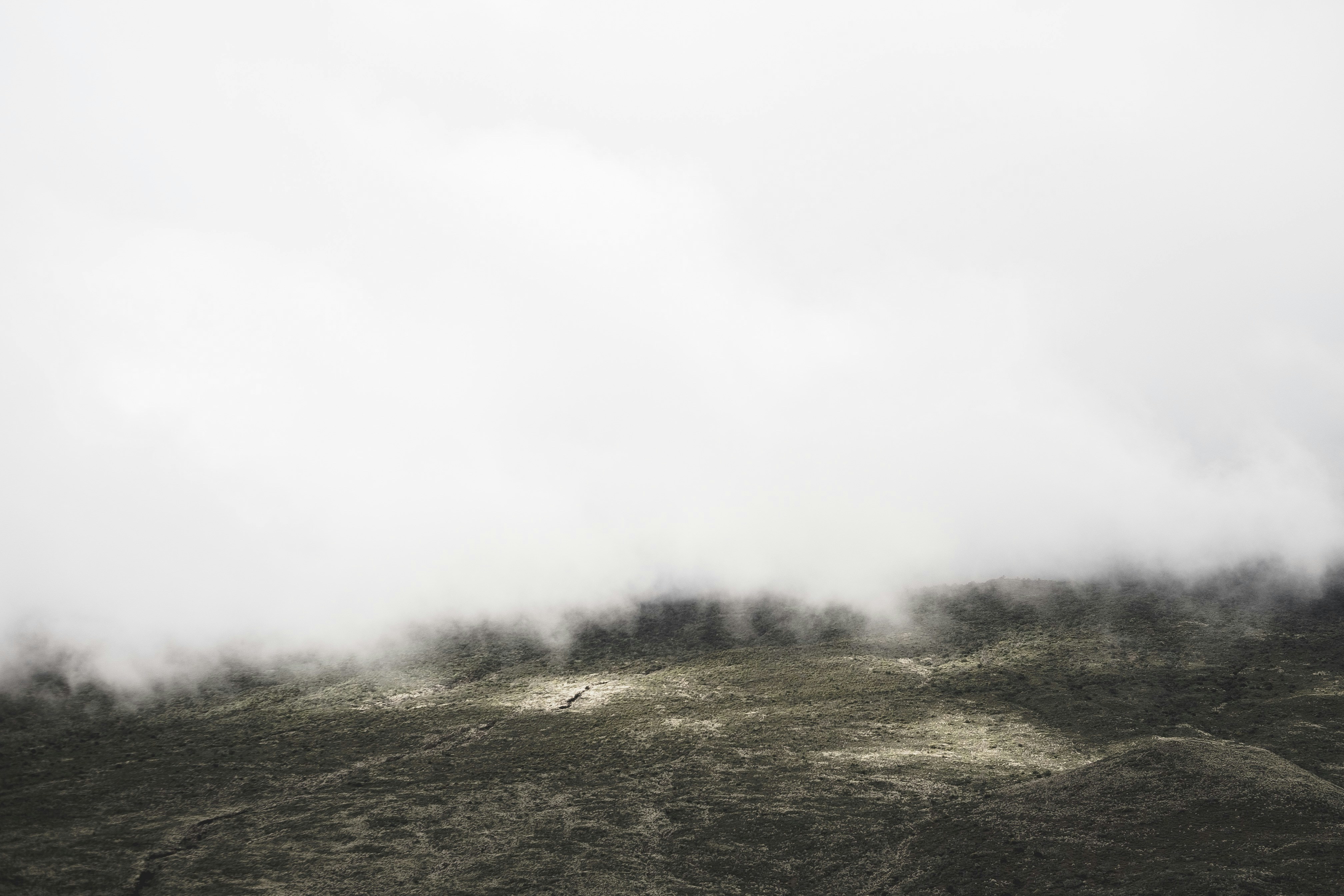 Photo by danielnorris