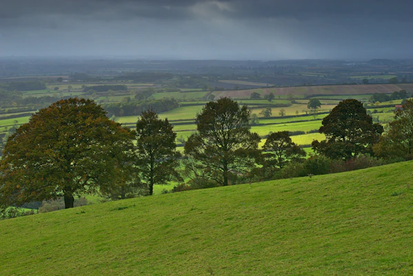 green trees and hill under heavy cloud
