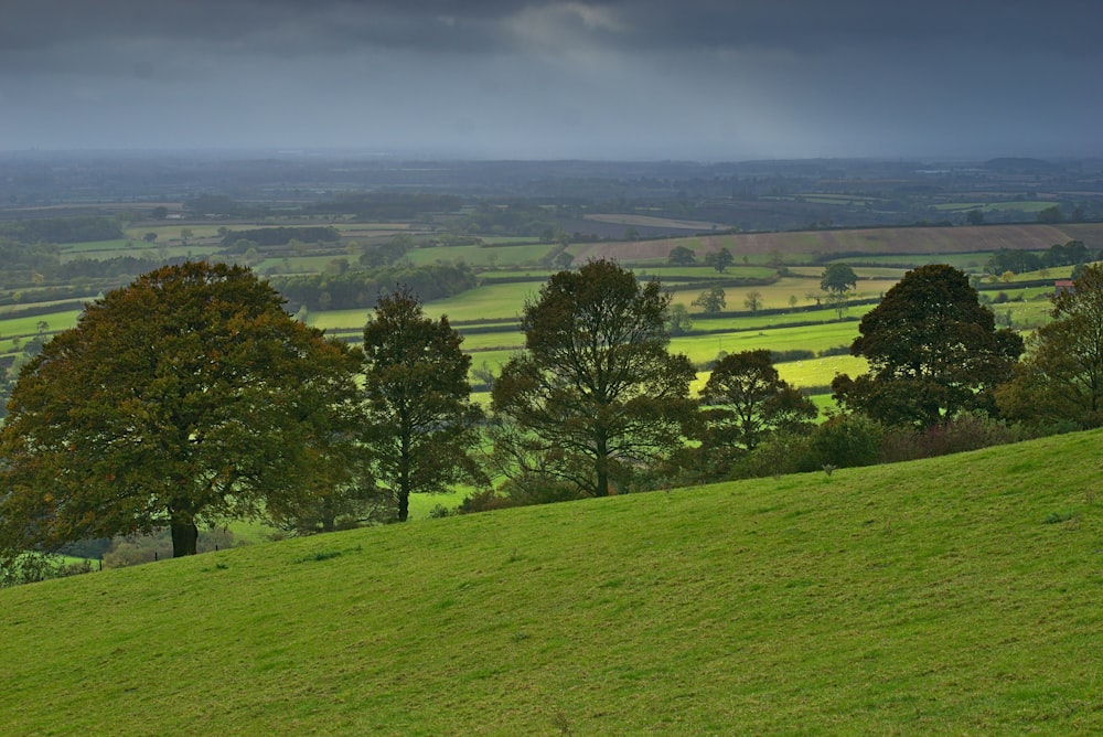 green trees and hill under heavy cloud