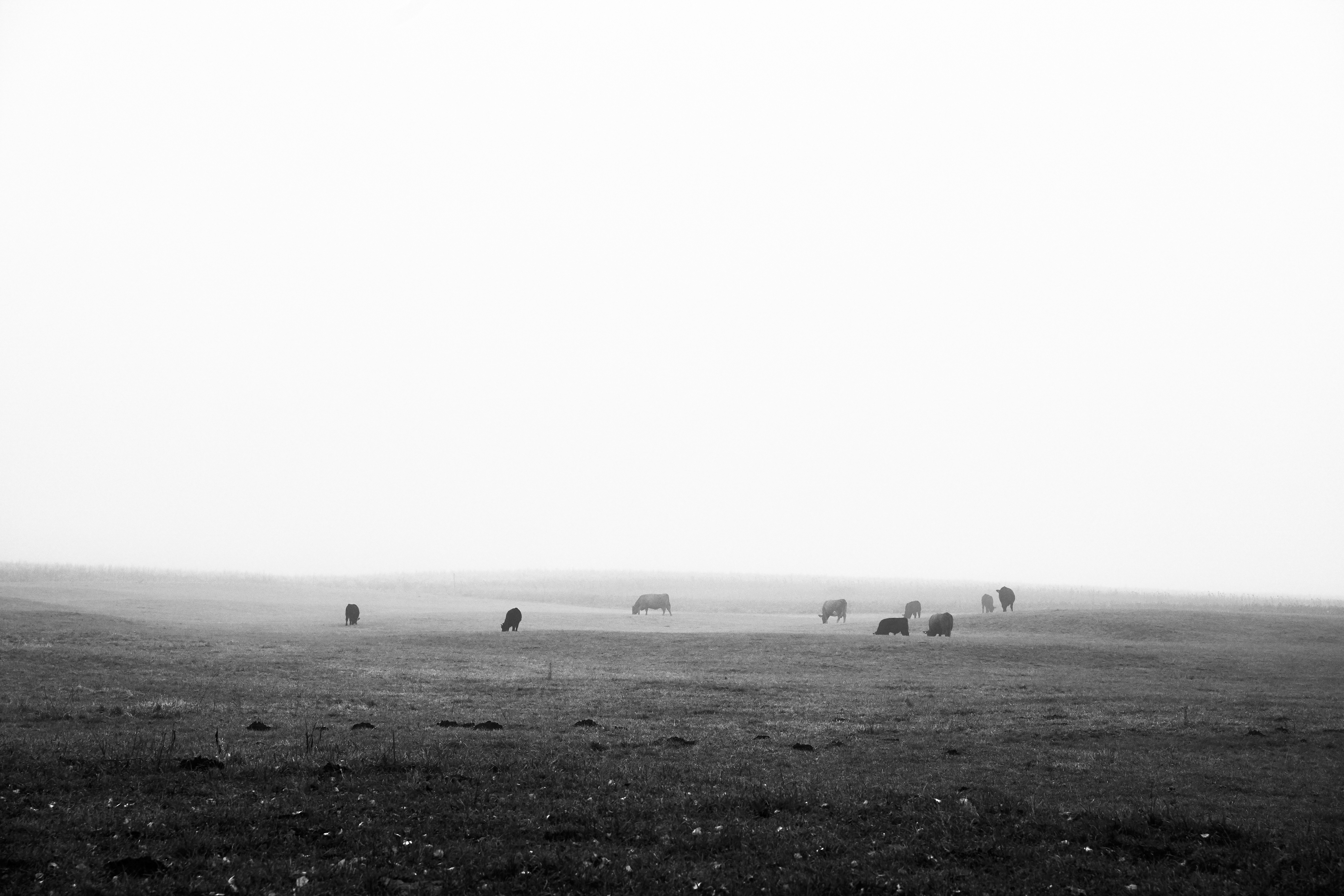 Photo by christianem