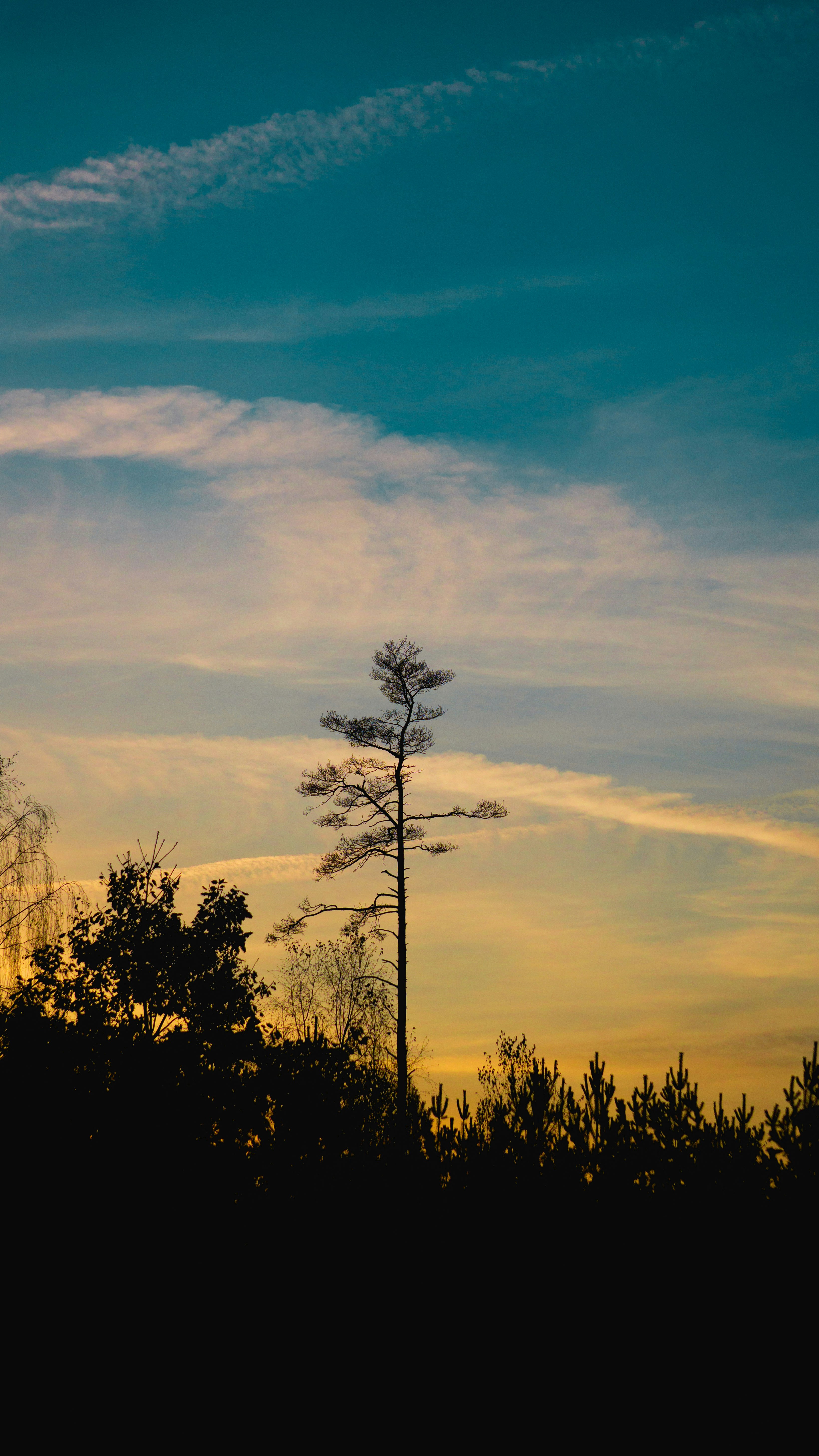 Photo by davidbenesph