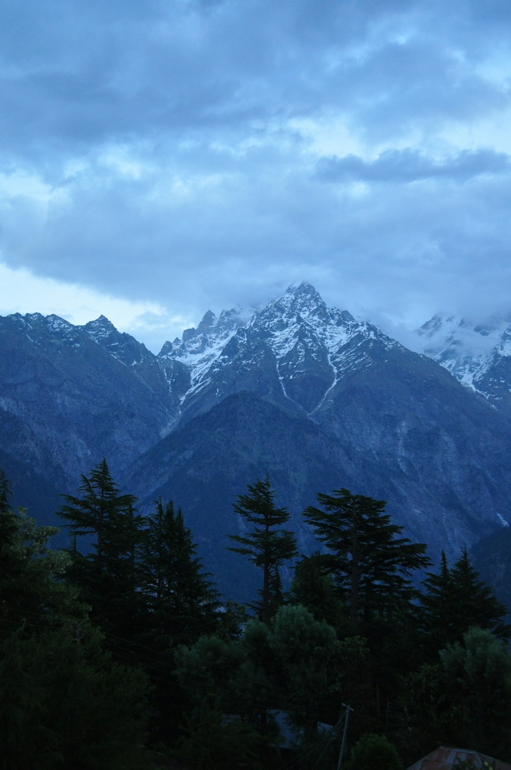 green forest and snowy mountains