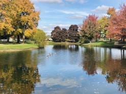 pond builder Dallas TX