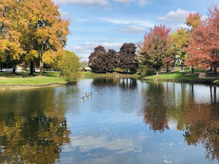 pond builder Dallas TX