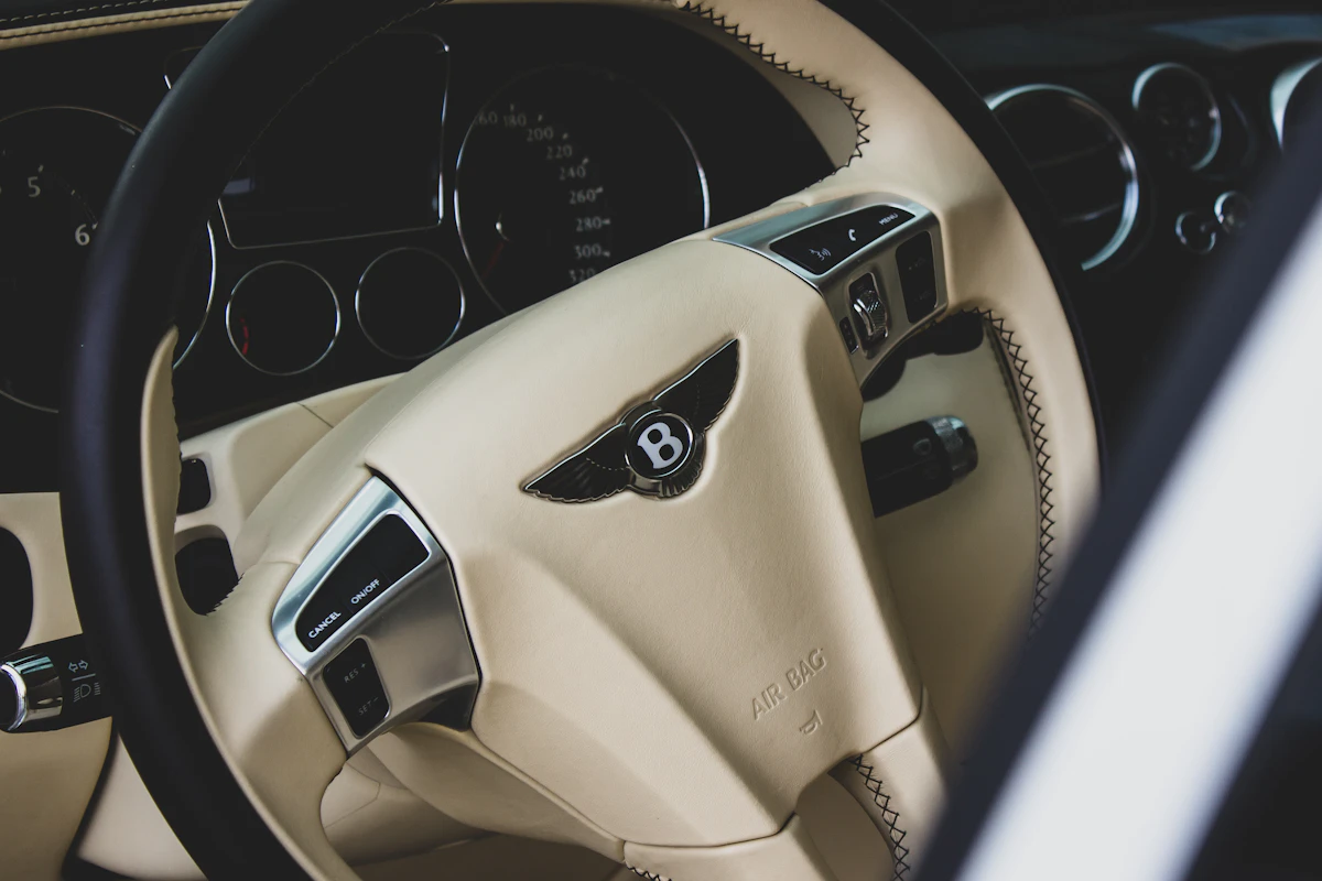 Leather interior detailing
