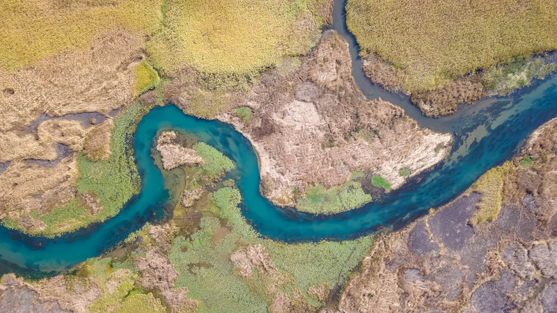 Aerial photograph of a winding river