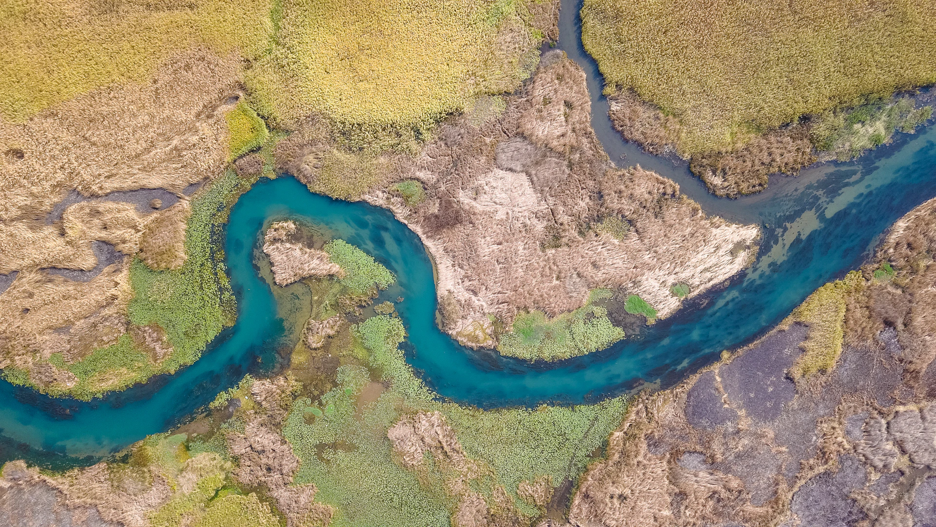 aerial photography of winding river