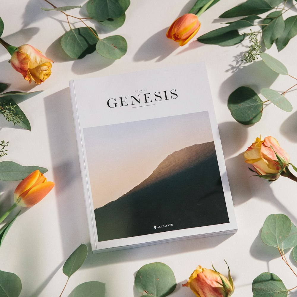 Genesis reading book