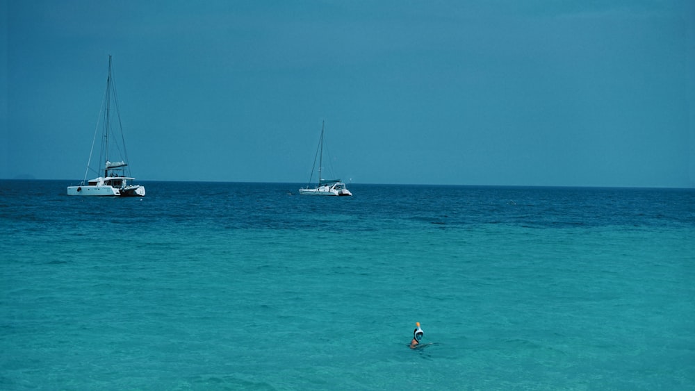 blue waters and white sailing boats