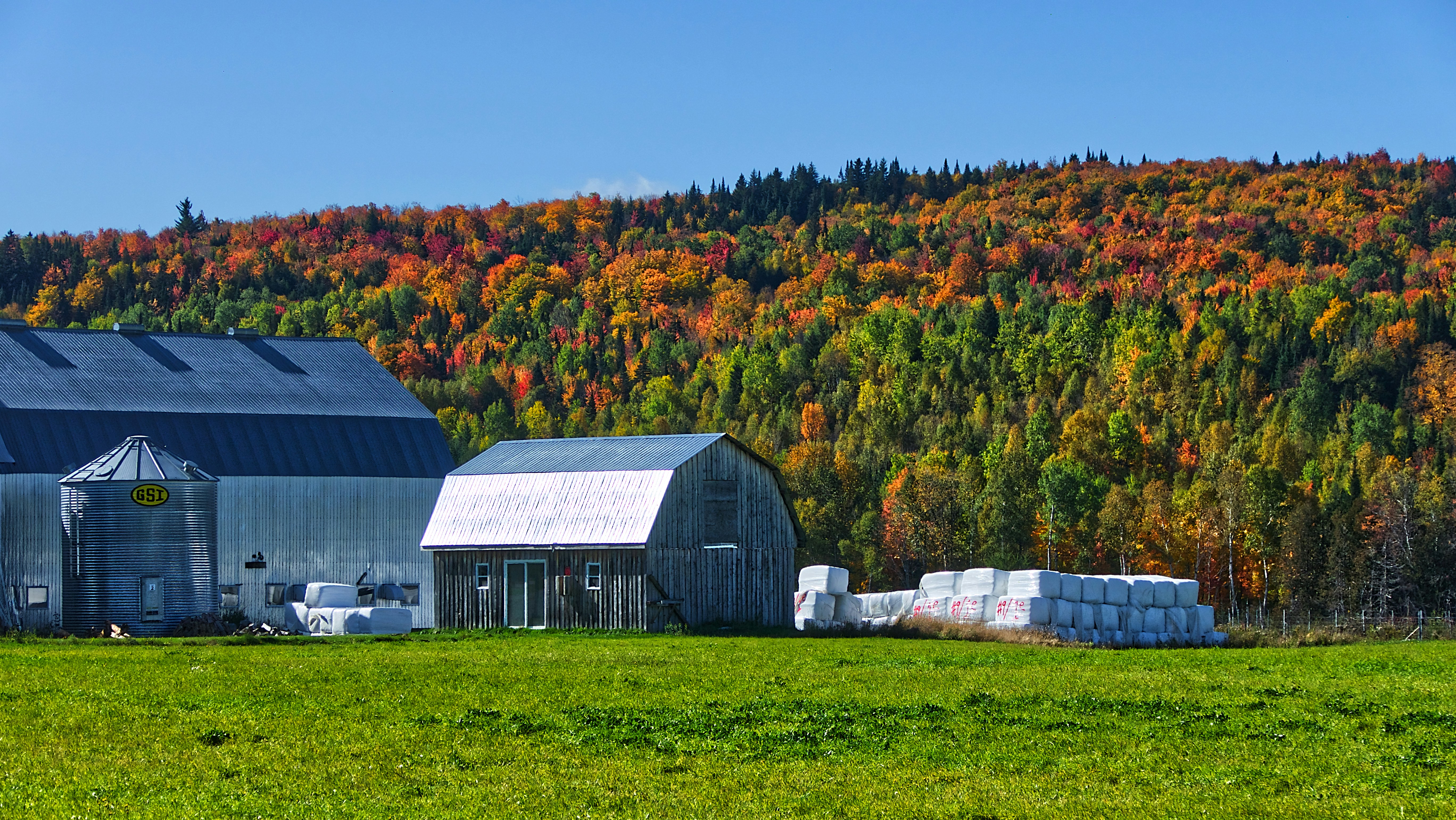 gray and brown barn