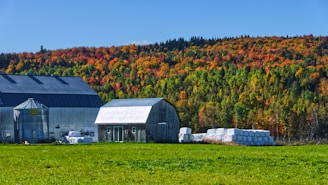 gray and brown barn