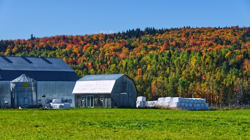 gray and brown barn