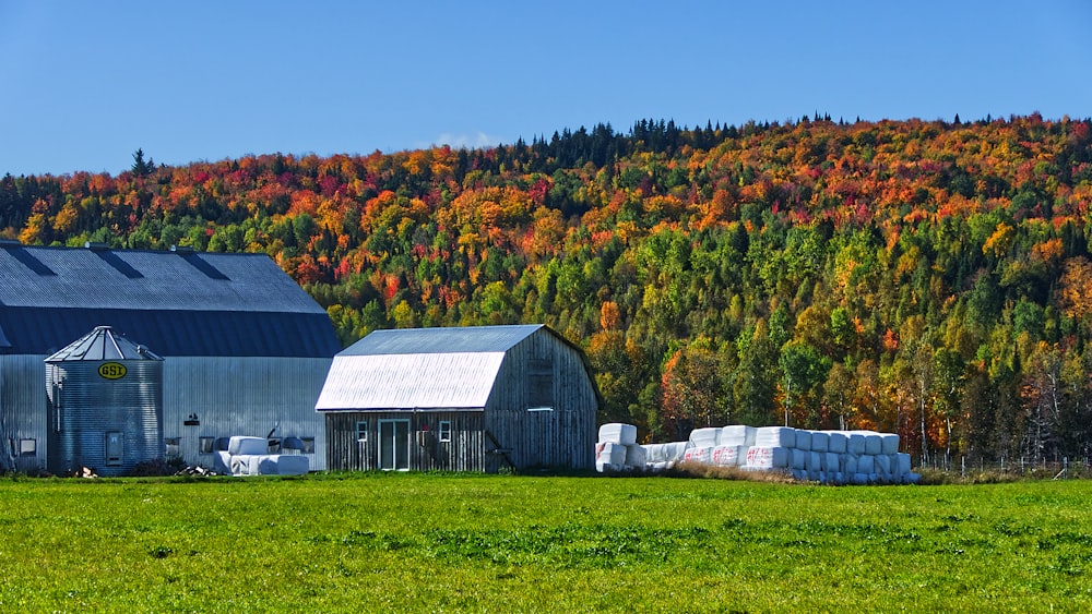 gray and brown barn