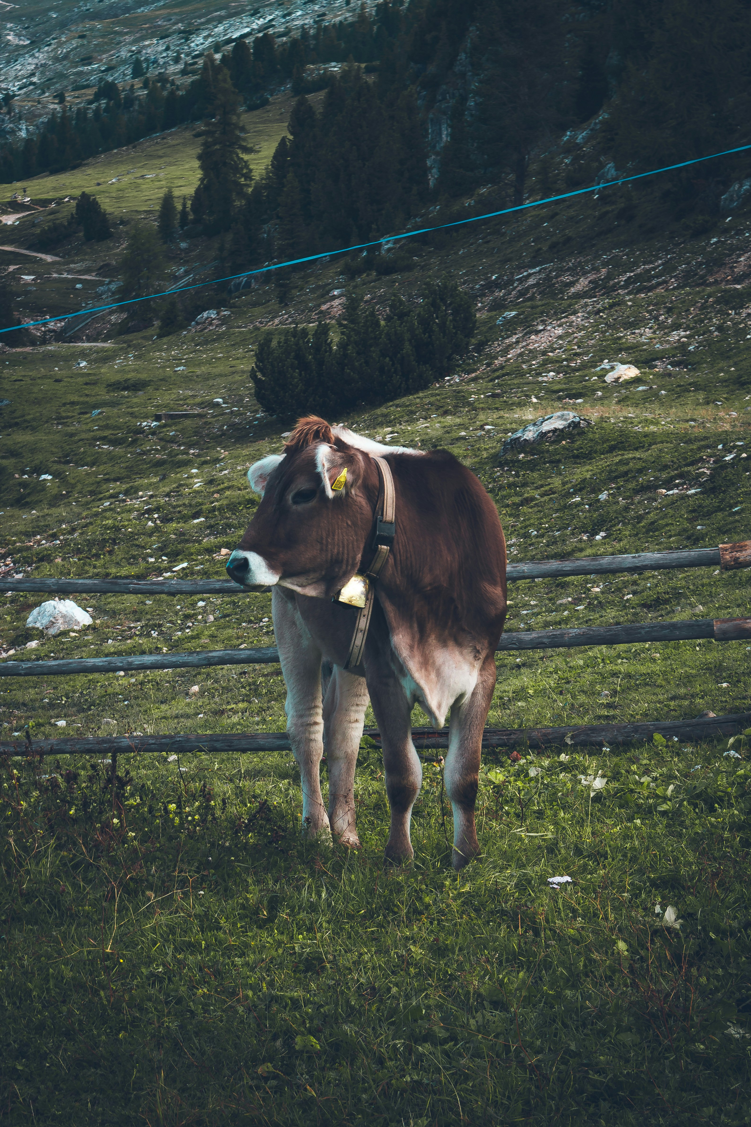 Photo by hendrikkay