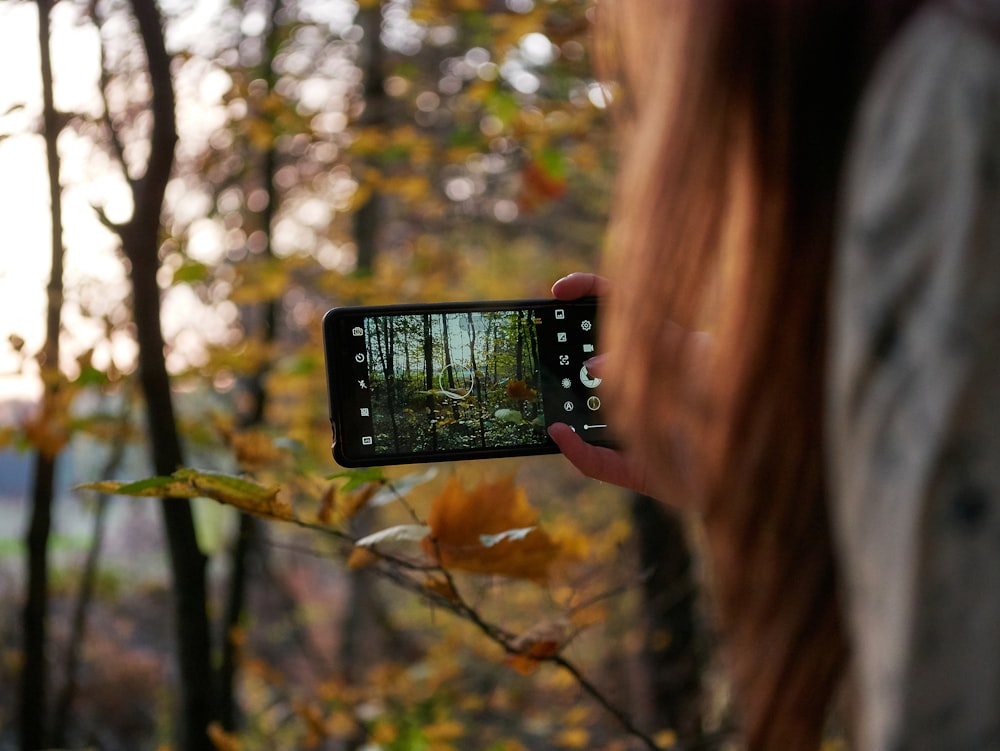 person taking photo of trees