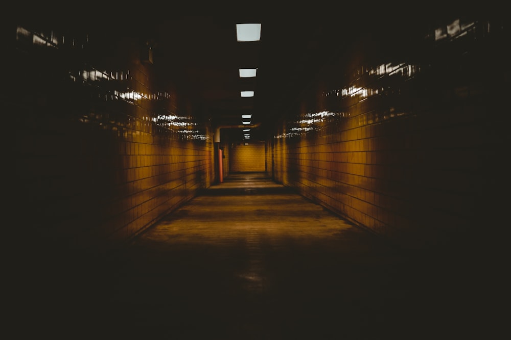 underground road surrounded with lights