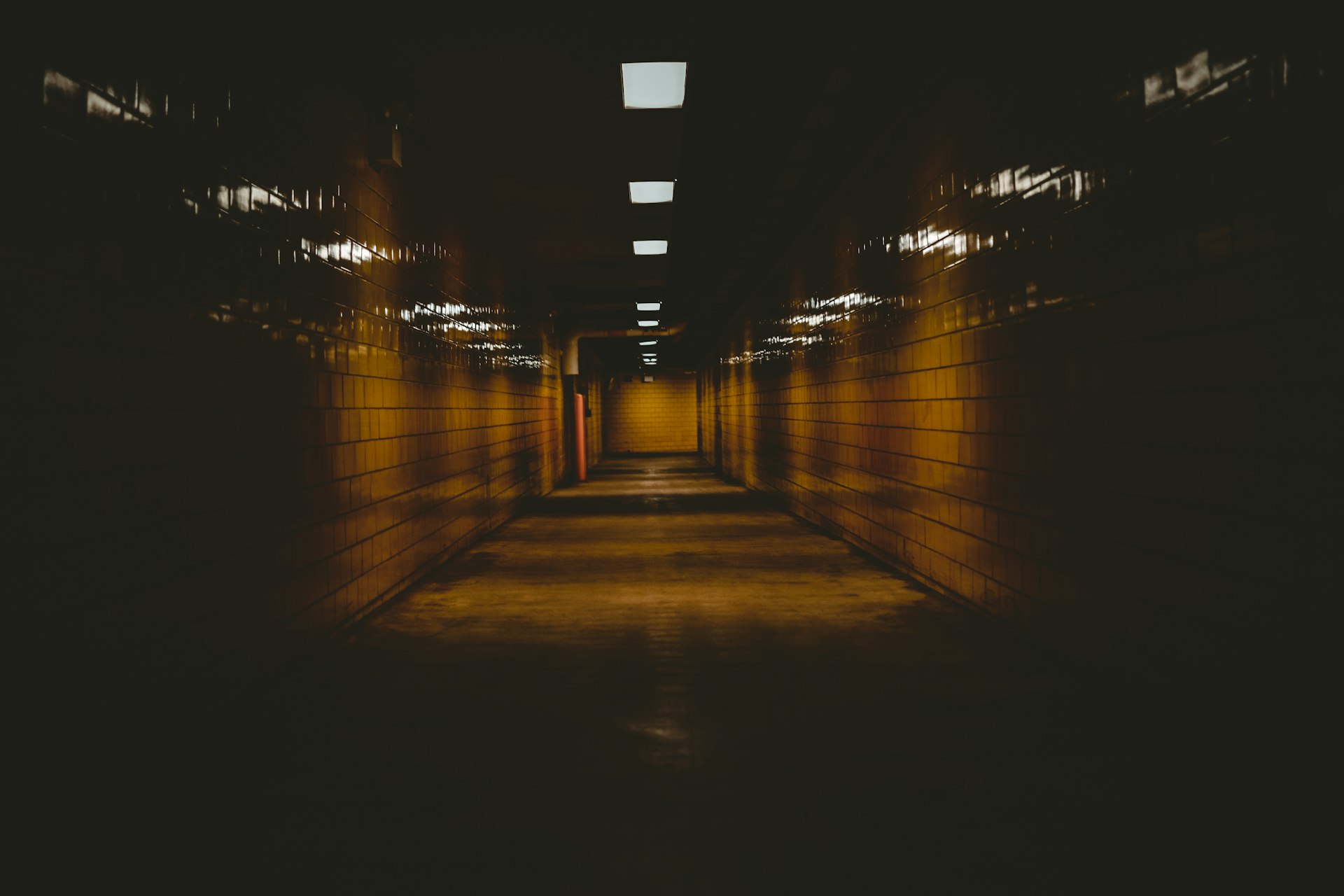 Dark creepy hallway