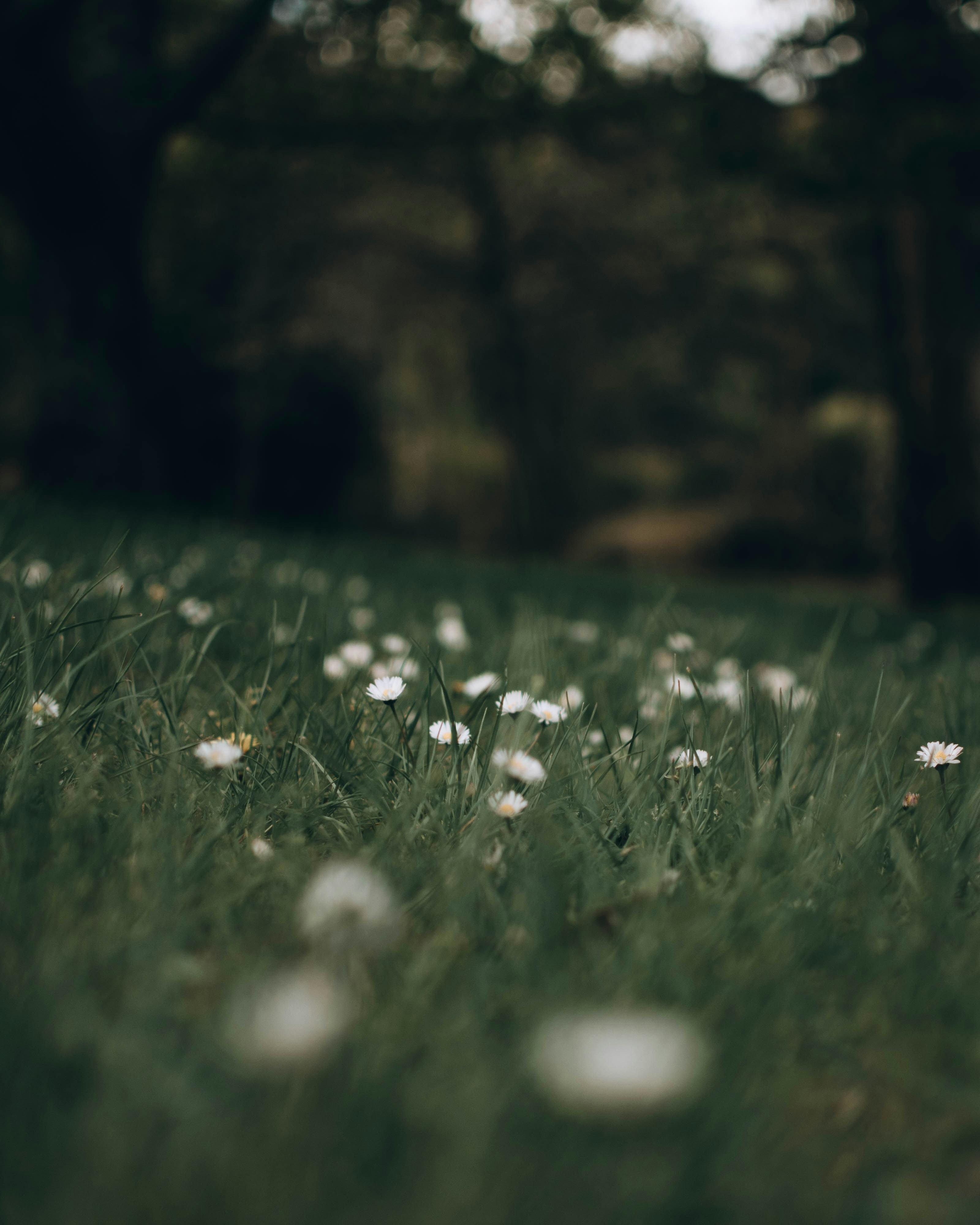 Photo by josiahfarrow