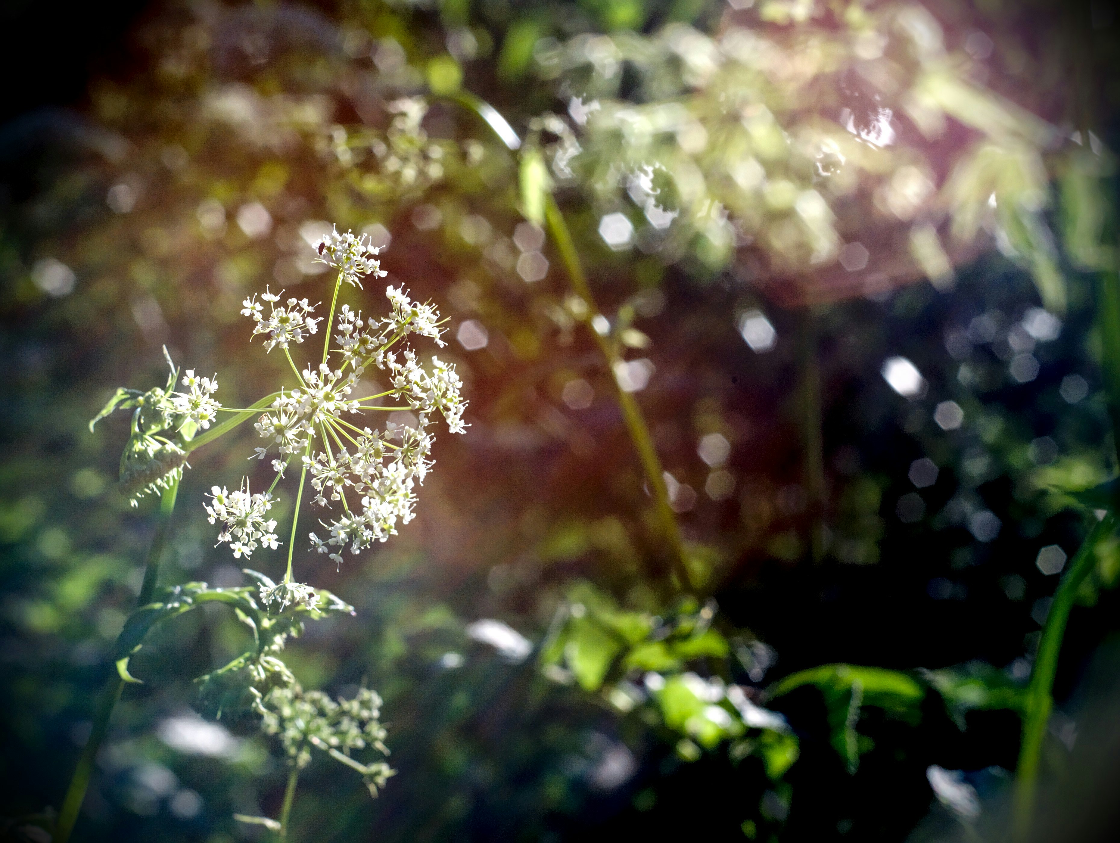 Photo by filip_sutkowy