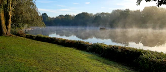 A calm lakeside scene with gentle ripples and morning mist.