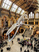 people inside Natural History Museum