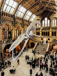 people inside Natural History Museum