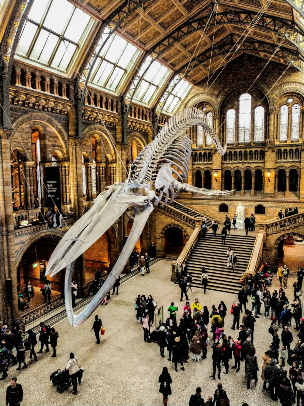 people inside Natural History Museum