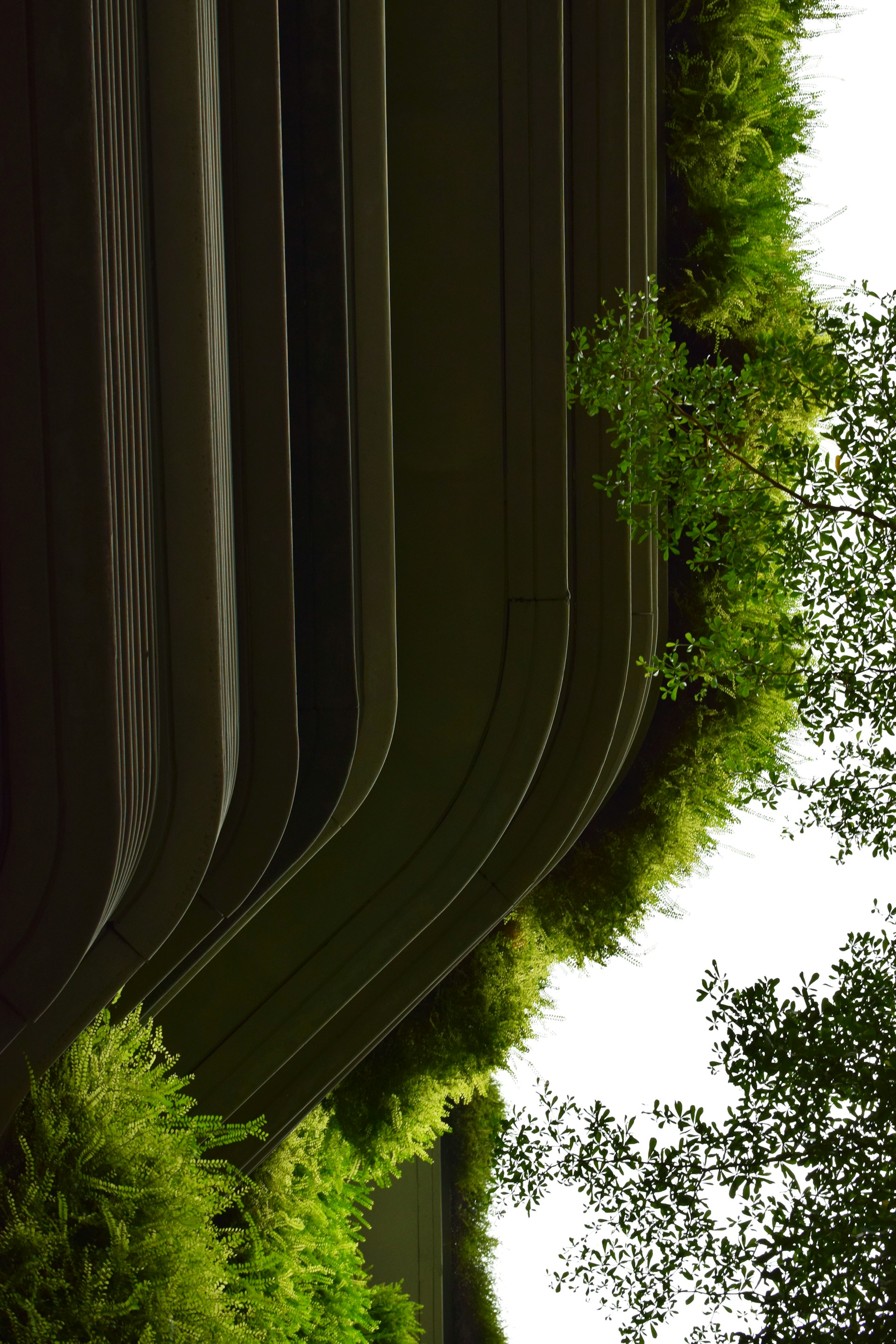 black and brown leather padded tub sofa