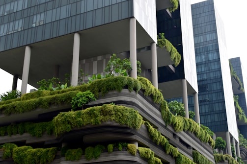 gray concrete building with green vines