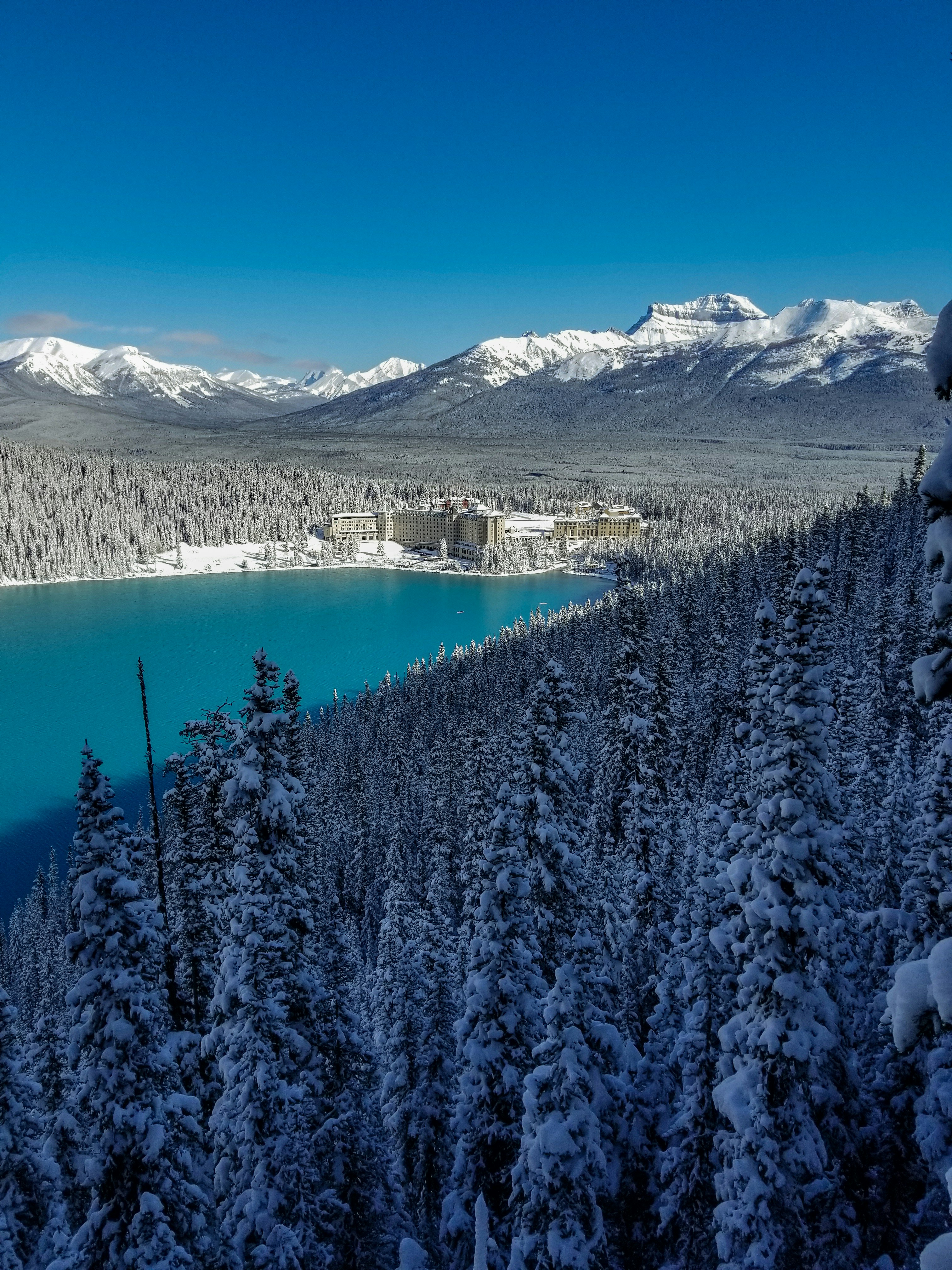 green pine trees and icy mountain scenery