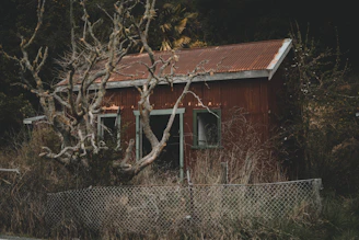Rae and her friend standing near an old, crumbling cabin surrounded by twisted trees.