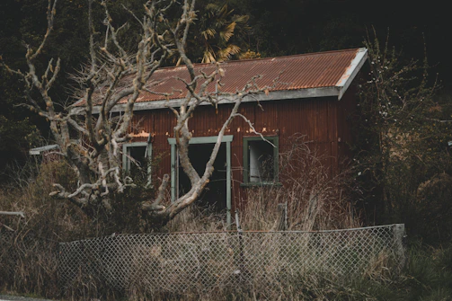 Rae and her friend standing near an old, crumbling cabin surrounded by twisted trees.