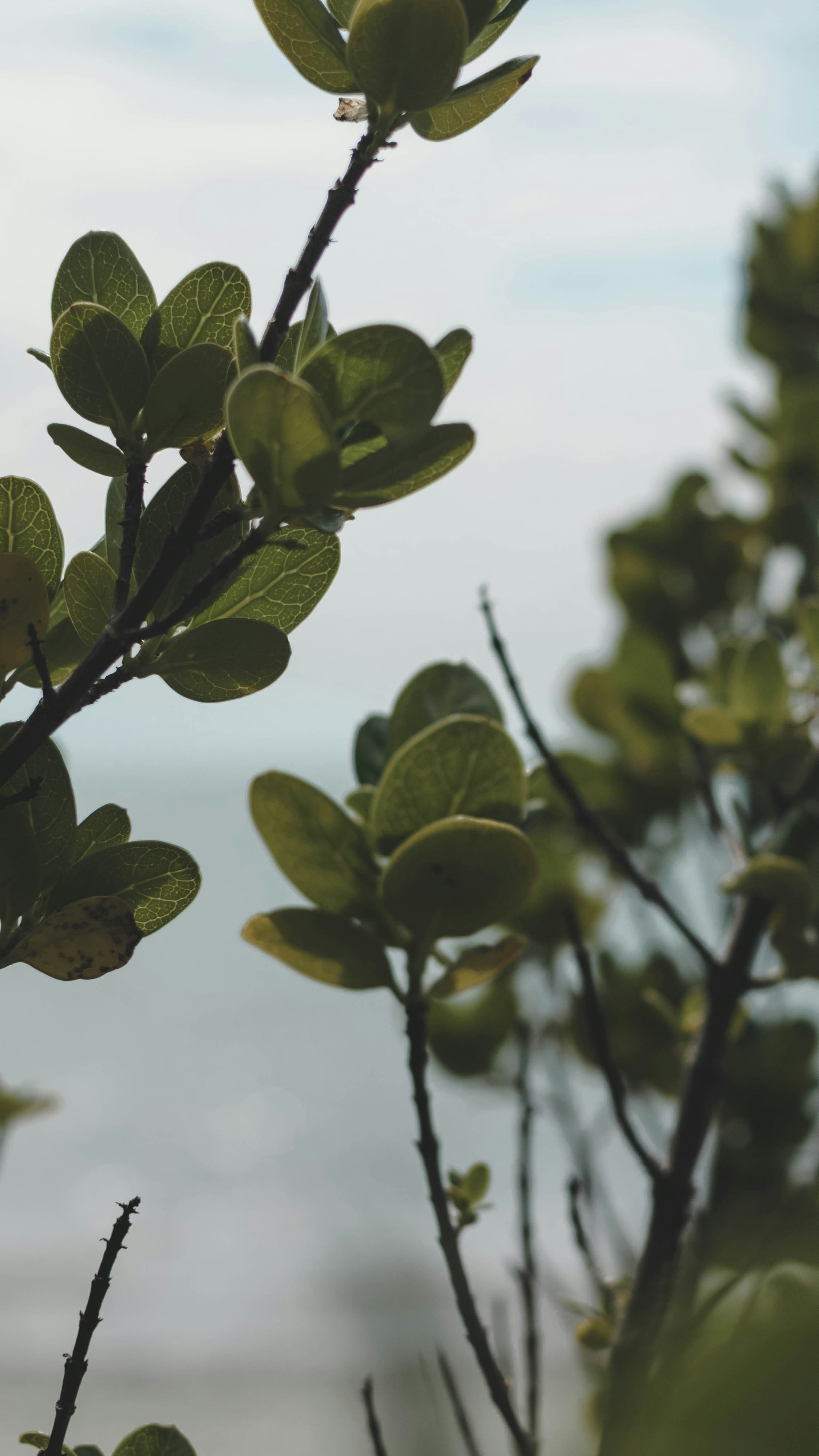 Photo by josiahfarrow