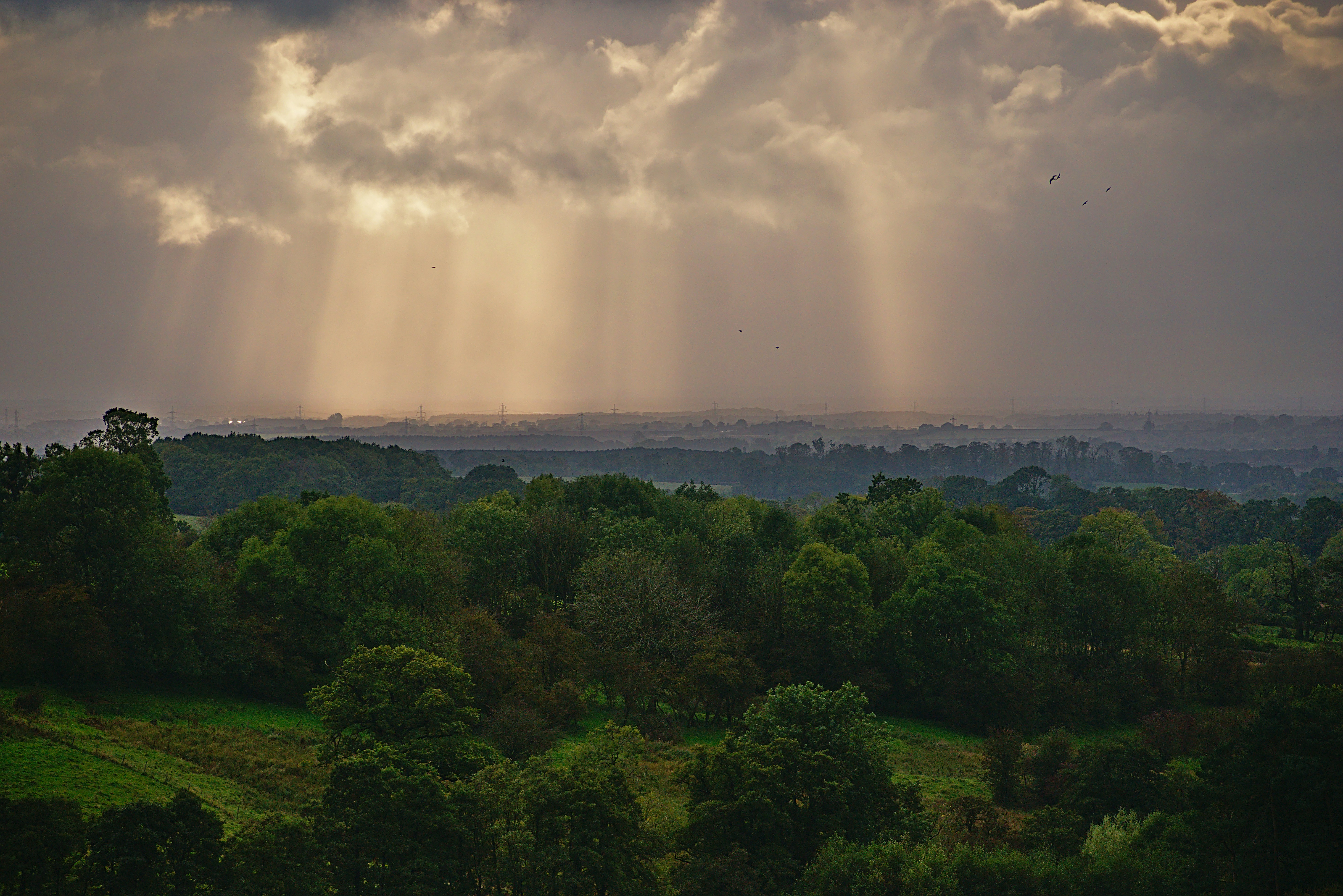 View from walk near Fridaythorpe, East Riding of Yorkshire, UK.