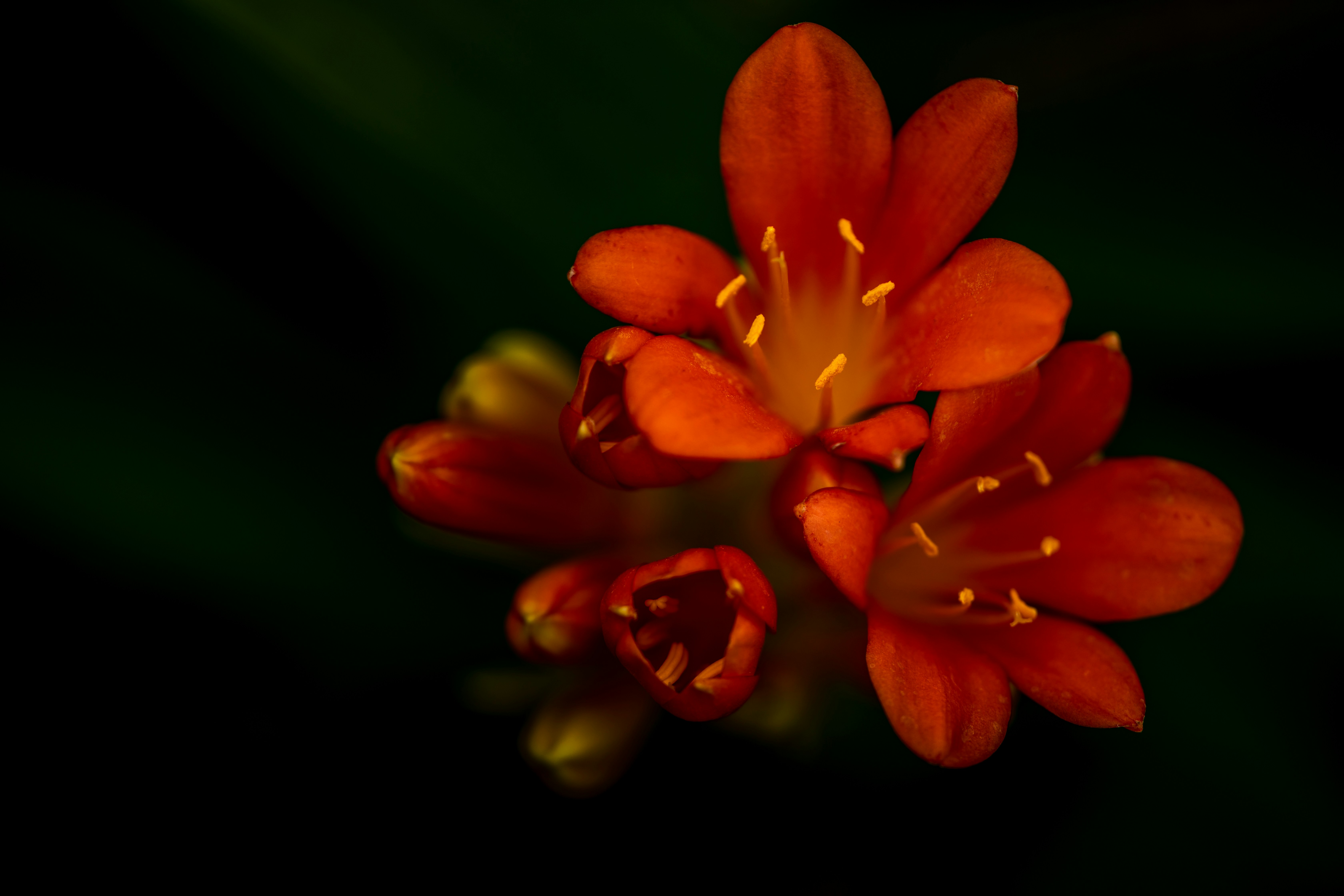Photo by zmachacek