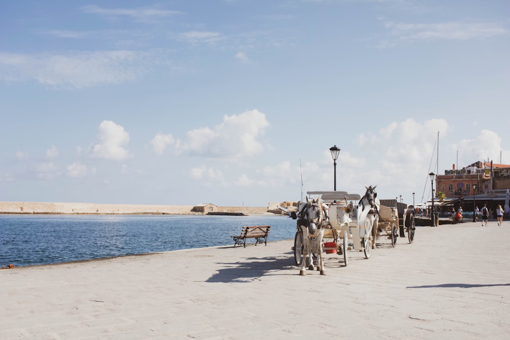 horse carriage on shore near body of water