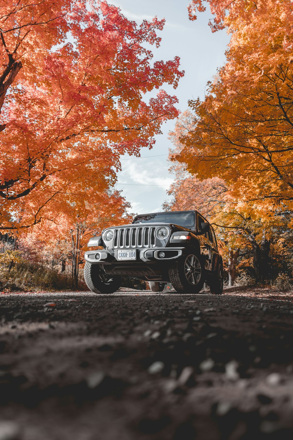 photo of red off-road vehicle